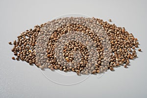 Herb ZiSuZi or Perillae Fructus or Cultivated Puple Perilla Fruit