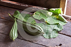 Angled gourds fresh