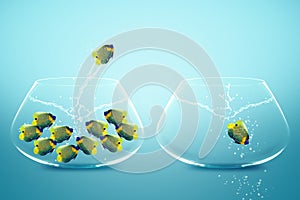 Anglefish jumping to Big bowl