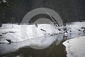 Angler on the bank of the spring river