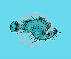 Angler Deep sea fish hand drawing. Vector illustration