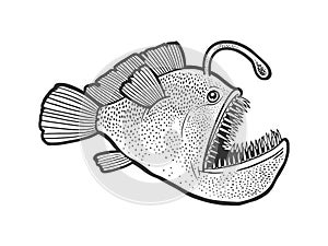Angler deep sea fish with light sketch vector