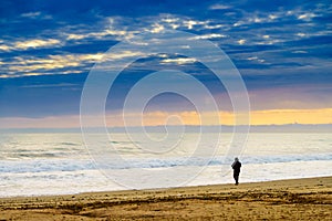 Angler with fishing rod on sea shore