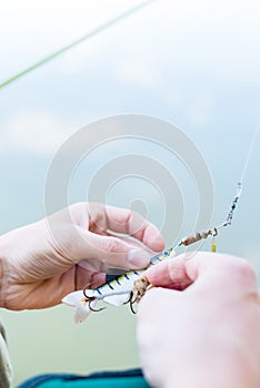 Angler fixing lure at hoof of fishing rod