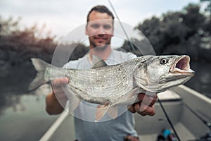 Angler holds big Asp fish