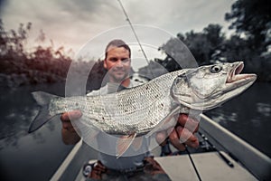 Angler holds big Asp fish