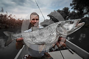 Angler holds big Asp fish
