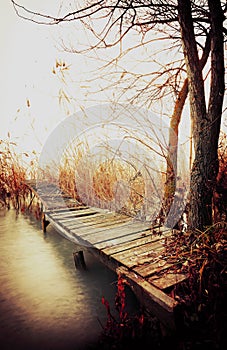 Angler pier in autumn