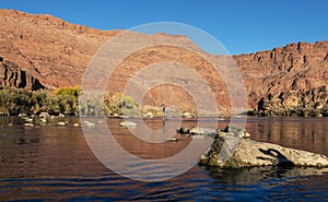 Angler Wading On The Colorado River At Lees Ferry