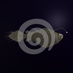 Anglerfish