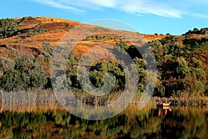 Anglers on a country pond