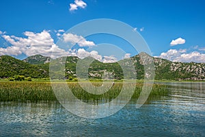 Anglers in reeds on the Skadar Lake in Montenegro