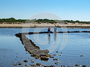 Anglers walking in the water with a curved line of stones