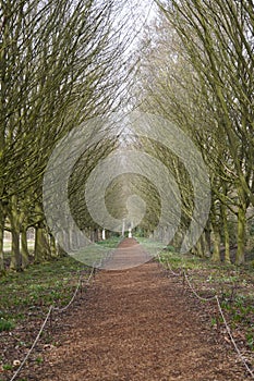 Anglesey Abbey in the sun