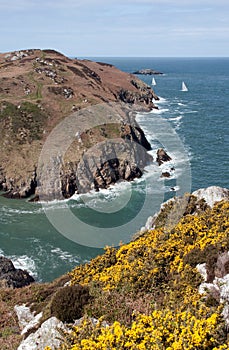 Anglesey coastal path