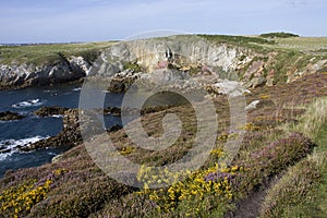 Anglesey Coastline