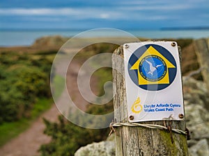 Anglesey, UK - Jan 11 2024: A weathered, wooden sign pointing the way for walkers on the Wales Coast Path on the island Anglesey