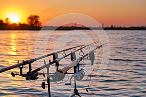 Angling rods with spinning reels on pod stands