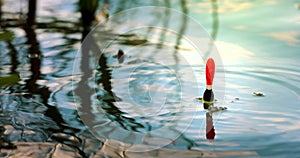 angling - throwing the fishing float in the pond water. catch the fish with bobber