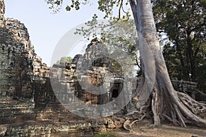 Angor wat