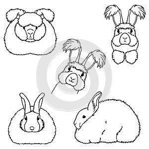 Angora rabbit line art bundle