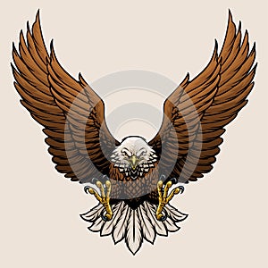 Angry Bald Eagle Hand Draw Style Illustration