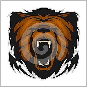 Angry bear head - isolated on white