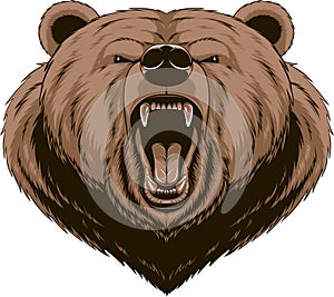 Angry bear head mascot
