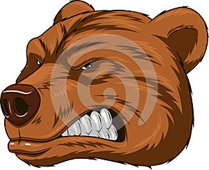 Angry bear head mascot