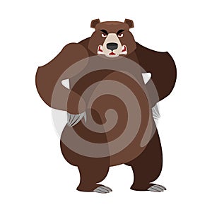 Angry bear on its hind legs. Aggressive Grizzly on white background. Wild evil animal. Large ferocious predator. Forest brutal s