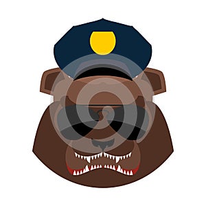 Angry bear in police cap. Aggressive Grizzly head. Wild animal m