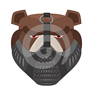 Angry bear in protective mask. Aggressive Grizzly head. Wild animal muzzle isolated. Forest predator