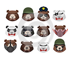 Angry bear set. Aggressive Grizzly head. Wild animal muzzle isolated. Forest predator