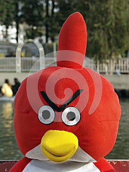 Angry Bird