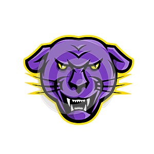Angry Black Panther Head Mascot