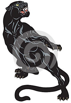 Angry black panther tattoo illustration