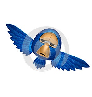 Angry blue bird soars and looks to you