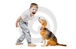 Angry boy screaming at his dog
