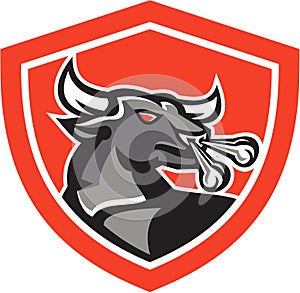 Angry Bull Head Shield Retro