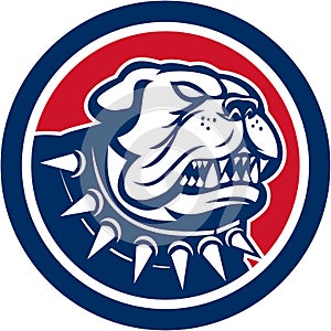 Angry Bulldog Dog Mongrel Head Mascot