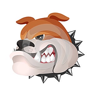 Angry bulldog face in metal collar profile view vector realistic