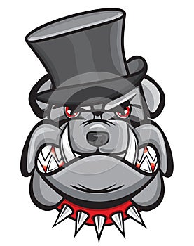 Angry bulldog head with hat