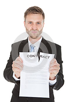Angry businessman tearing contract paper
