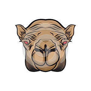 Angry camel head vector illustration