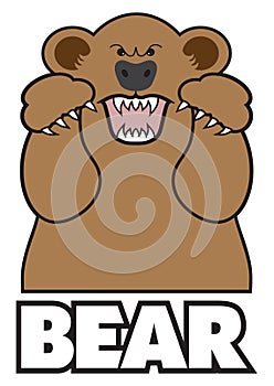 Angry Cartoon Bear