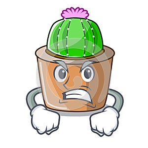 Angry cartoon star cactus in flower pot