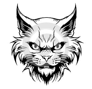 Angry cat head isolated illustration. Black color on white background image. Pets