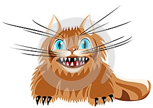 Angry cat with long whiskers