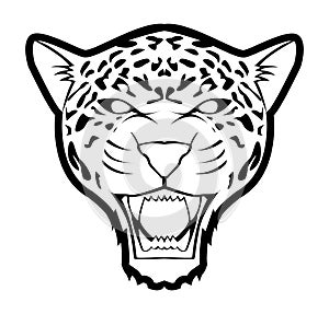 Angry Cheetah Face Black And White Illustration