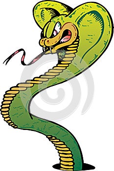 Angry Cobra snake vector illustration
